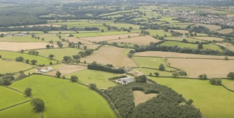 Elhunyt felesége emlékére több 1000 fát ültetett, 17 évvel később így néz ki a hely