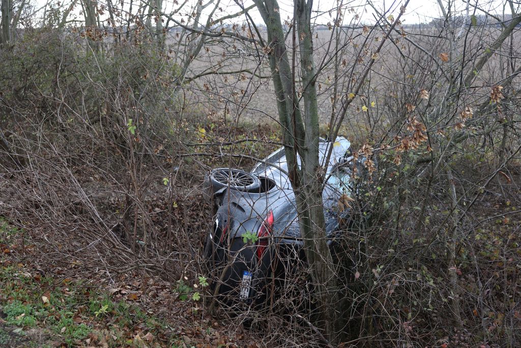 20251117_Tolna_Baleset_Fának csapódott egy autó Tolna közelében: egy embert a tűzoltók szabadítanak ki_ Foto:Mártonfai Dénes_Tolnai Népújság_MD_TN