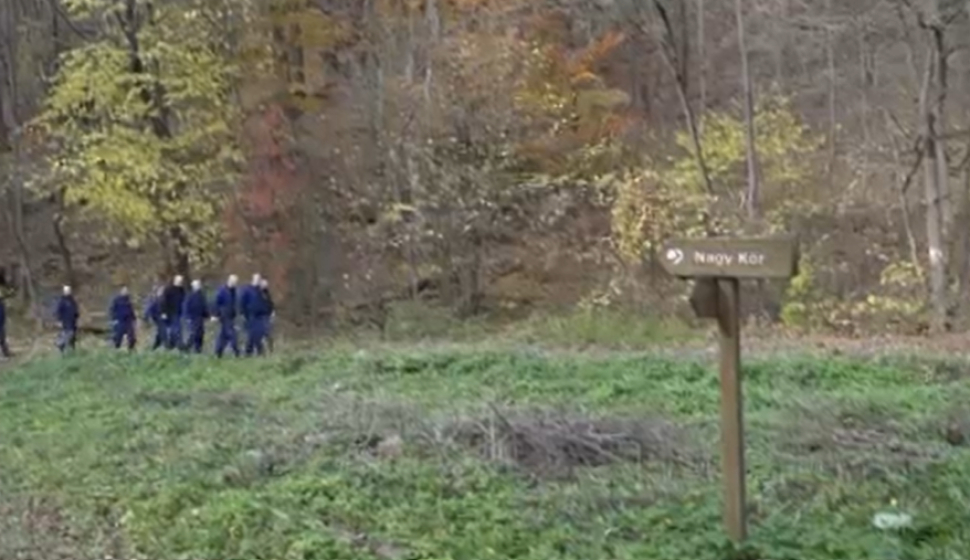 Férjével ment kirándulni, de egy pillanat alatt eltűnt az erdőben egy  demens nő a Bükkben: Évát napok óta keresik - fotó a cikkben | Kékvillogó